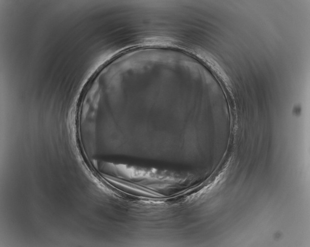 X0000116860941201001121238