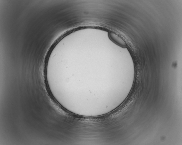 X0000116860942201001121238