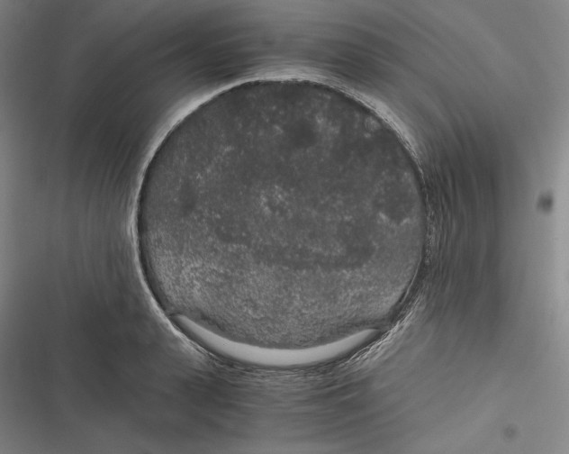 X0000116860943201001121238