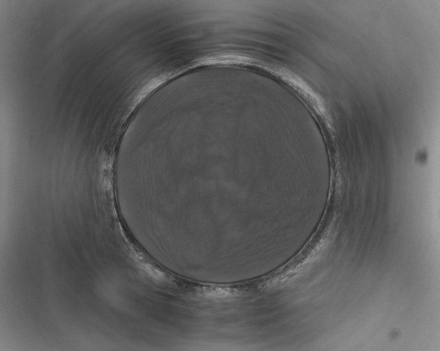 X0000116860945201001121238