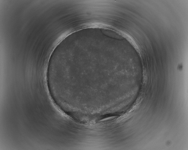 X0000116860946201001121238