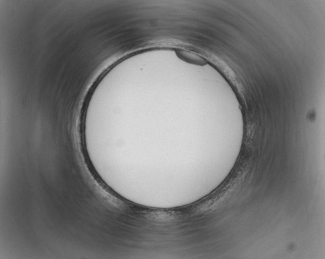 X0000116860947201001121238