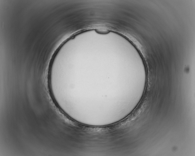 X0000116860949201001121238