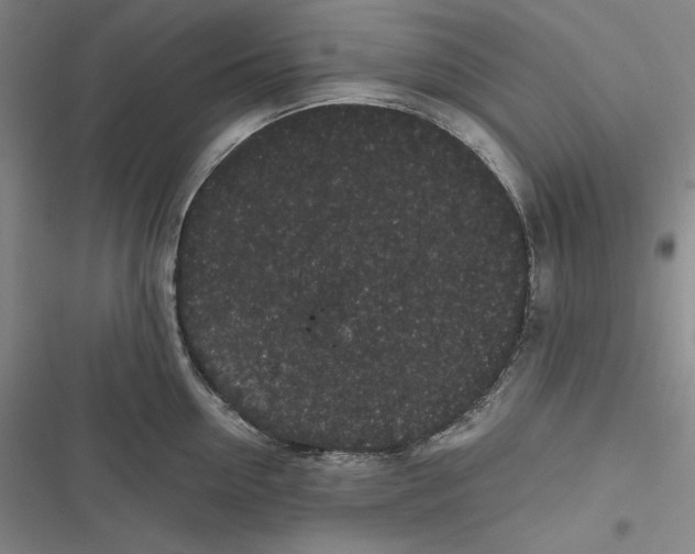 X0000116860954201001121238