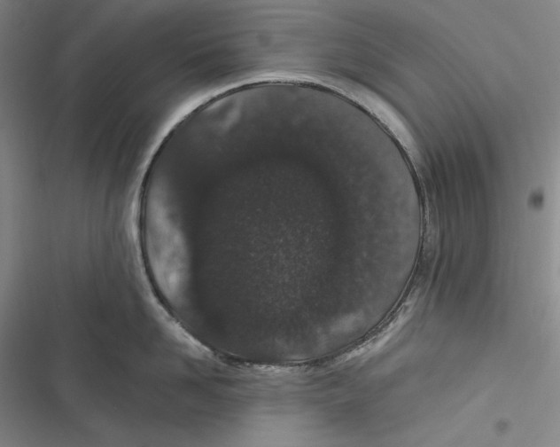 X0000116860958201001121238