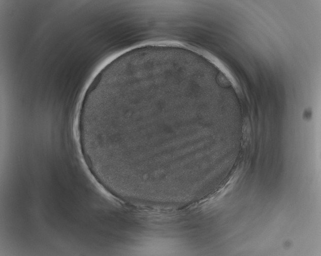 X0000116860959201001121238