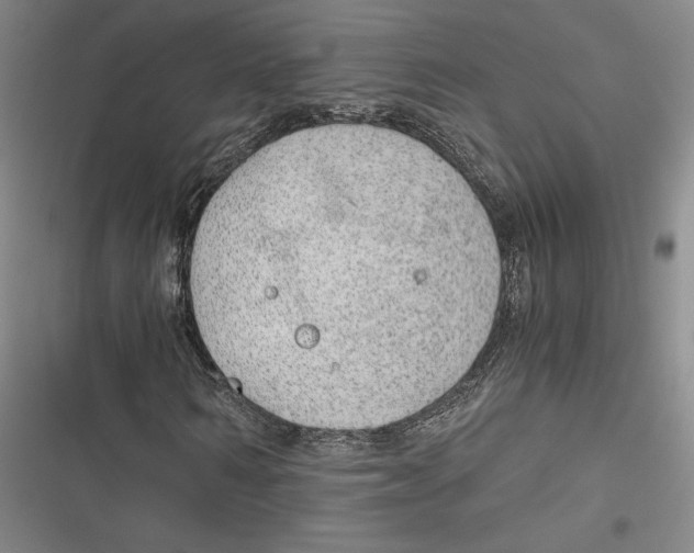 X0000116860962201001121237