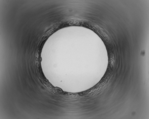 X0000116860964201001121237