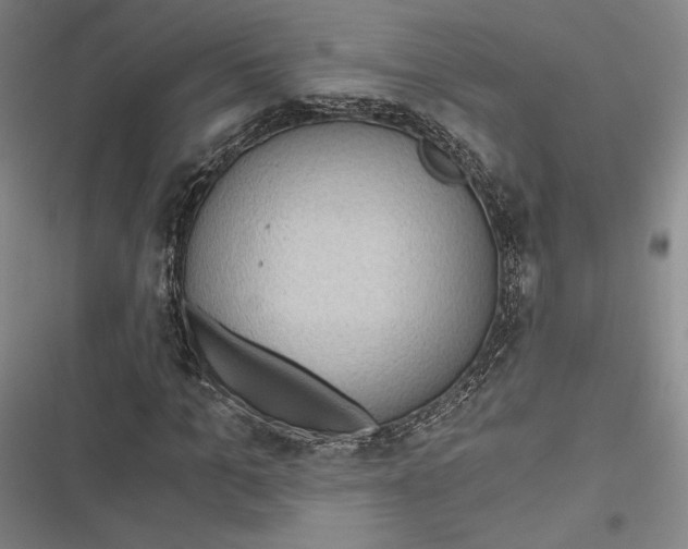 X0000116860965201001121237