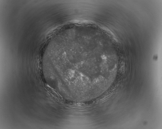 X0000116860966201001121237