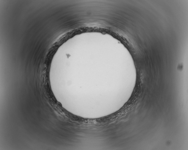 X0000116860968201001121237