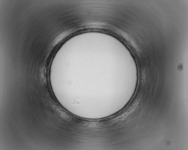 X0000116860970201001121237