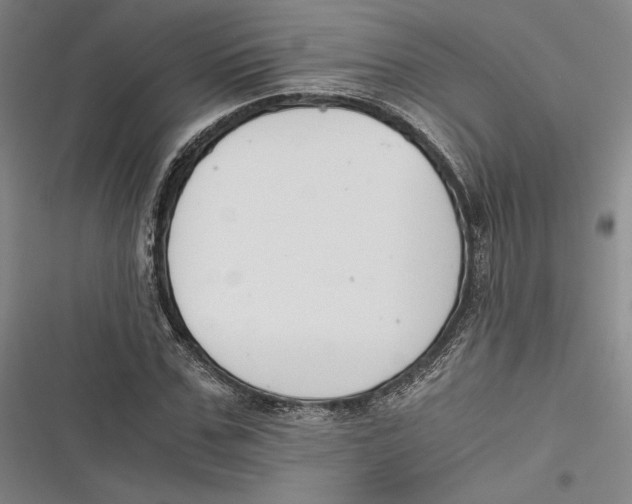 X0000116860971201001121237