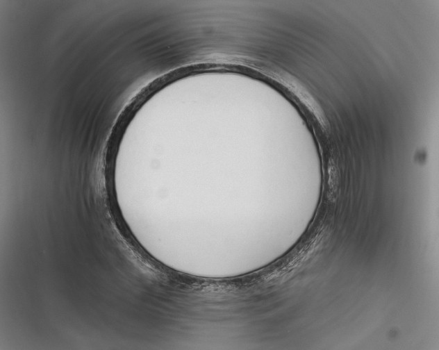 X0000116860972201001121237