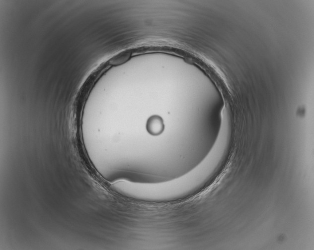 X0000116860973201001121237