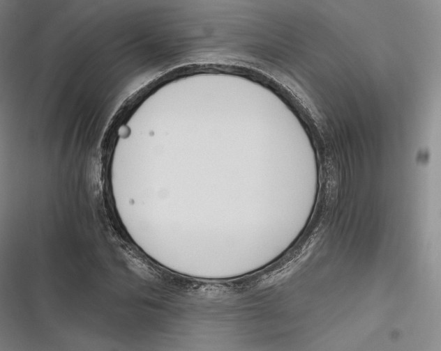 X0000116860974201001121237