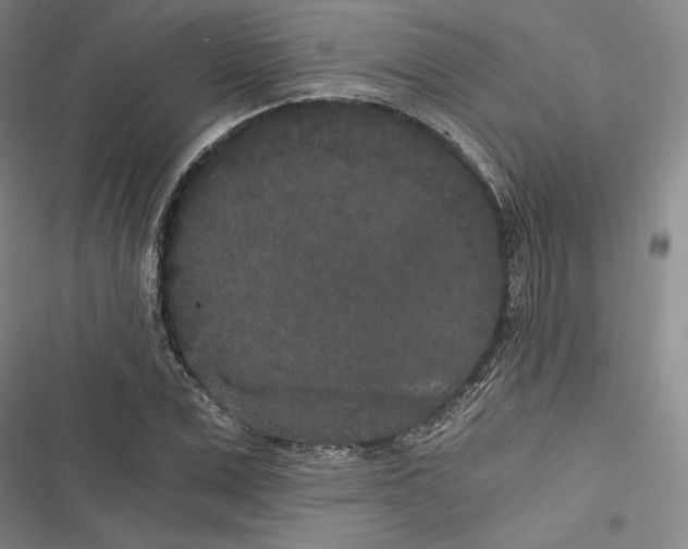 X0000116860975201001121237