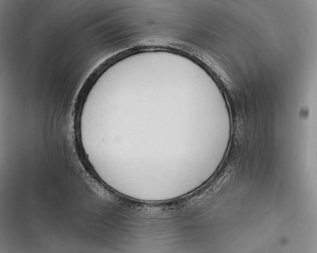 X0000116860976201001121237