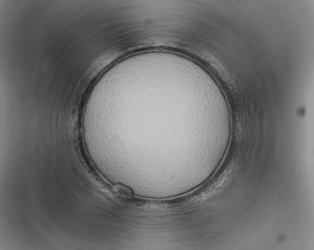 X0000116860977201001121237