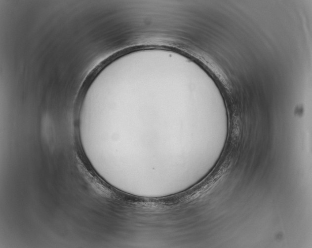 X0000116860980201001121237