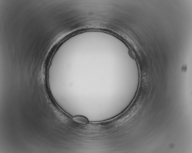 X0000116860981201001121237