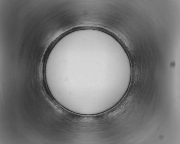 X0000116860982201001121237