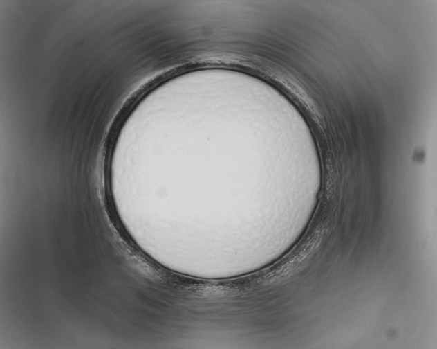 X0000116860984201001121237