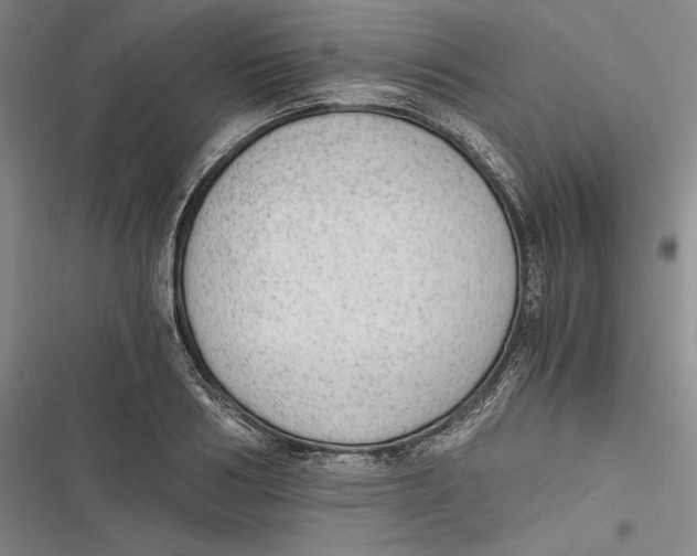 X0000116860986201001121237