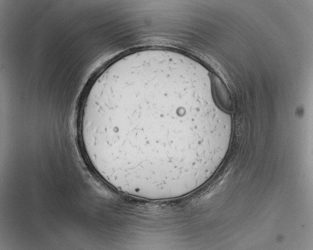 X0000116860987201001121237