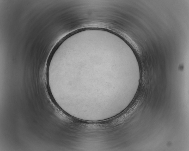 X0000116860988201001121237