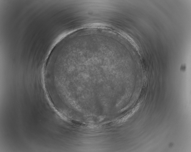 X0000116860989201001121237