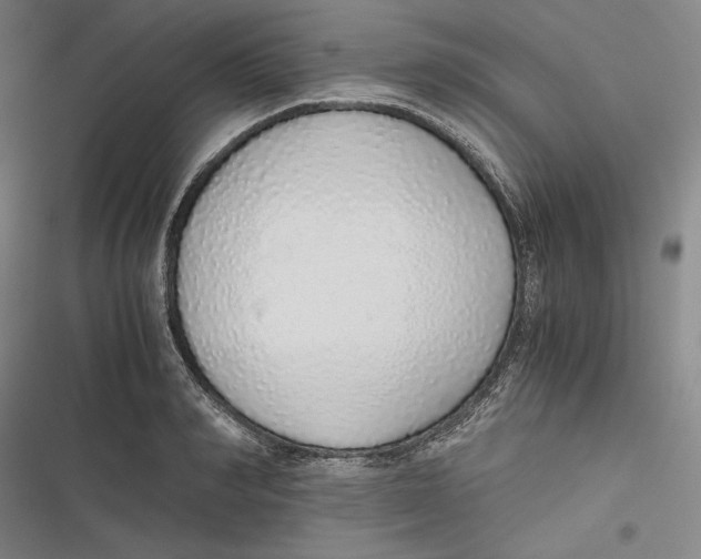 X0000116860990201001121237