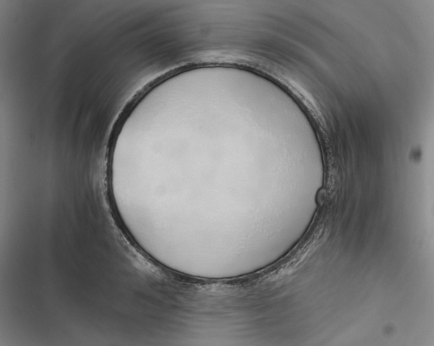 X0000116860992201001121237