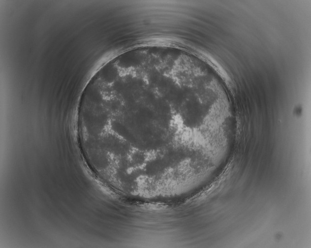 X0000116860994201001121237