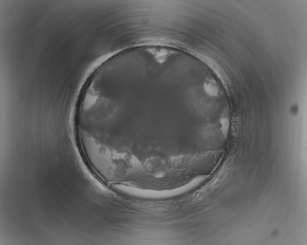 X0000116860995201001121237