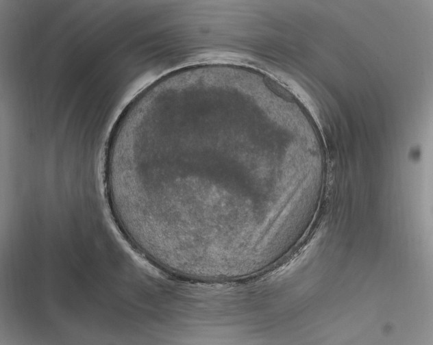 X0000116860997201001121237