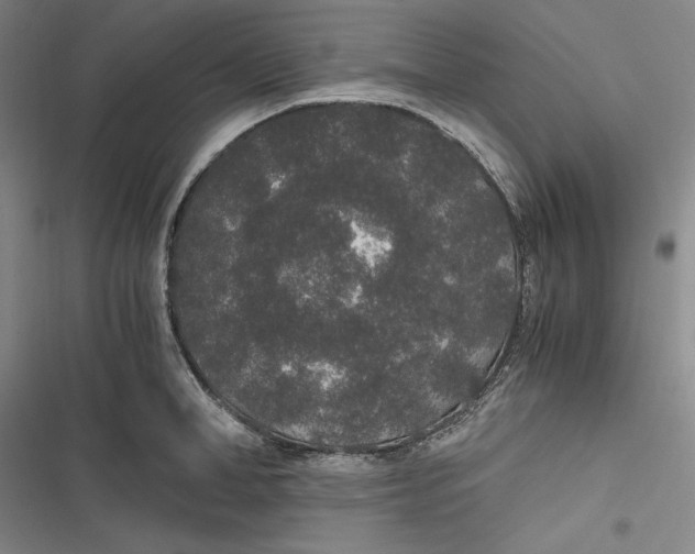 X0000116860998201001121237