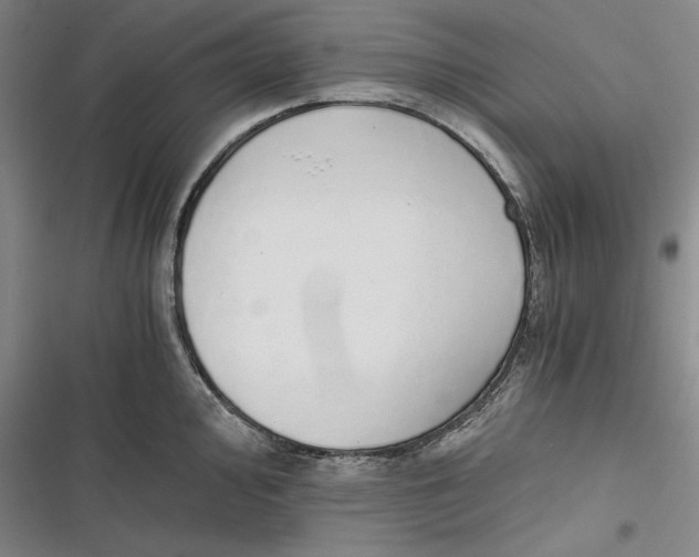 X0000116861000201001121237