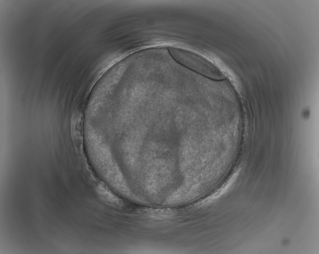 X0000116861001201001121237