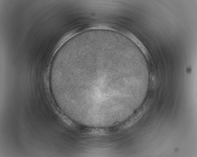 X0000116861002201001121237