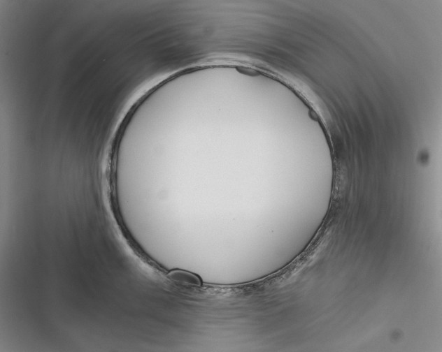 X0000116861003201001121237