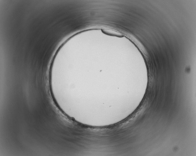 X0000116861004201001121237