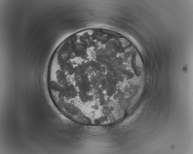 X0000116861007201001121237