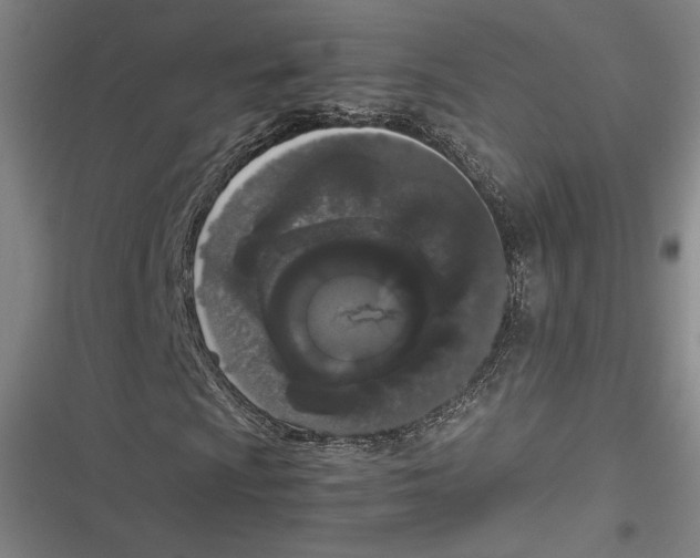 X0000116861009201001121236