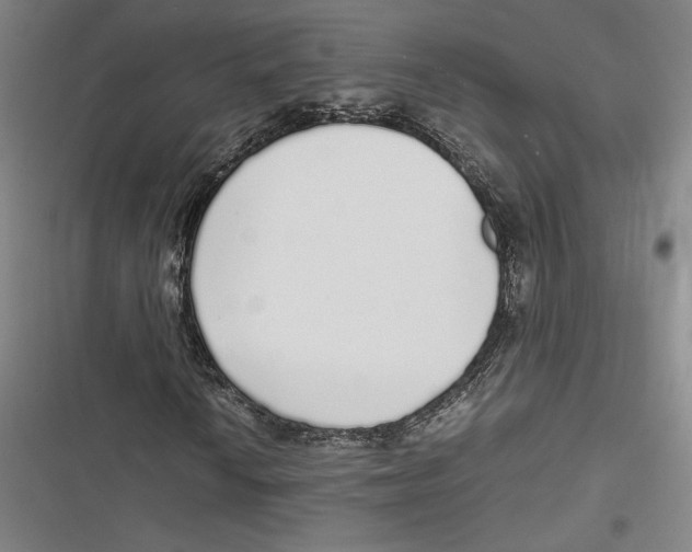 X0000116861010201001121236