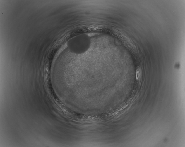 X0000116861011201001121236