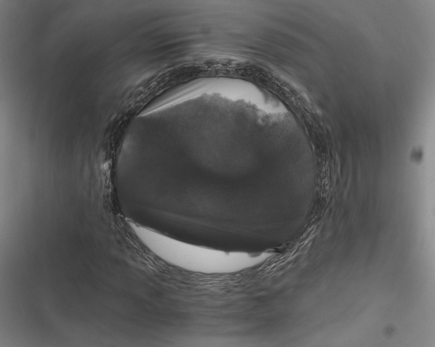 X0000116861013201001121236