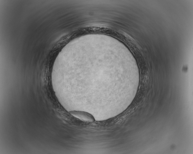 X0000116861014201001121236