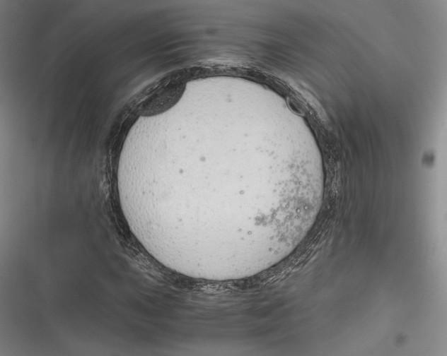 X0000116861015201001121236