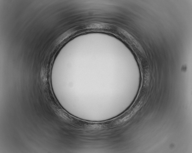 X0000116861017201001121236